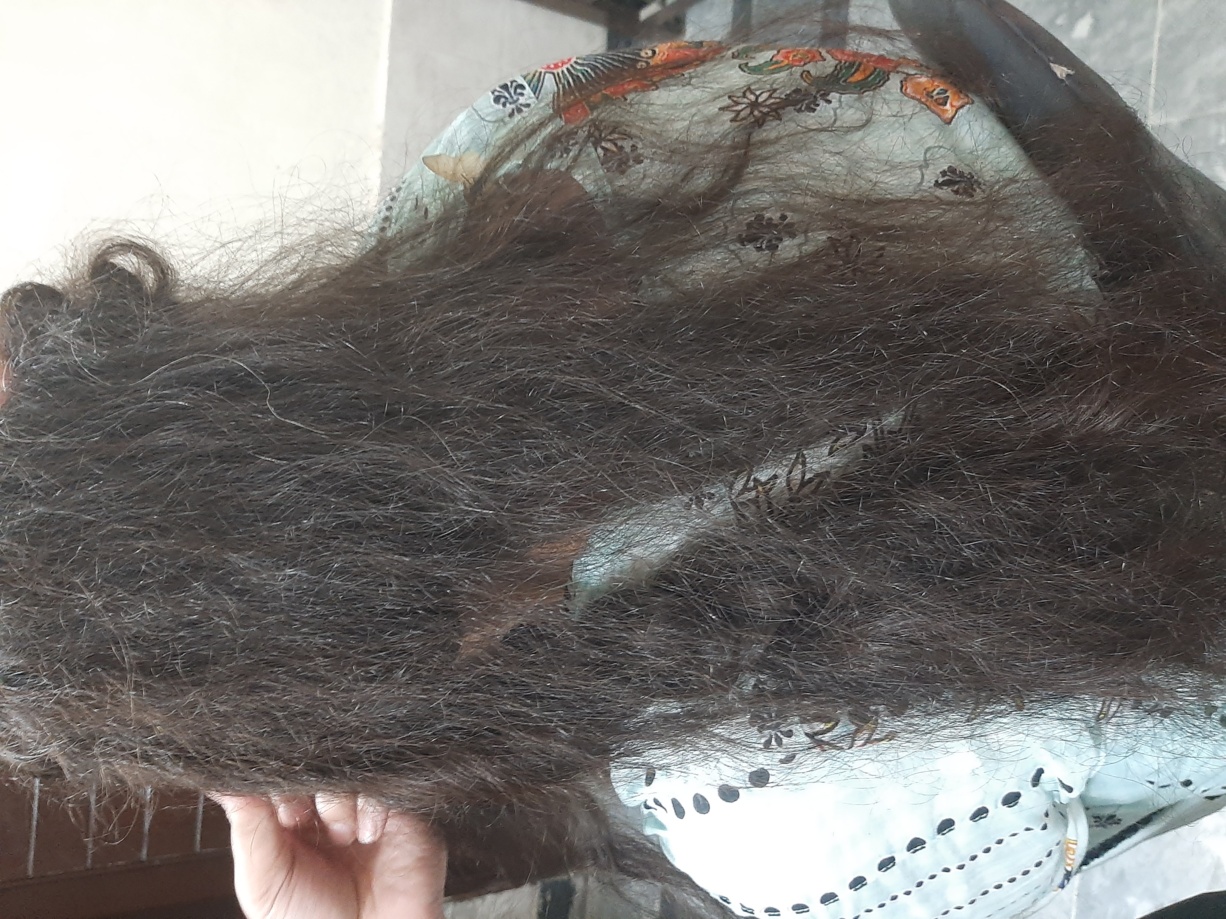 Alpha Beauty Salon — beauty salon in Kohat Road, Peshawar — photo 4